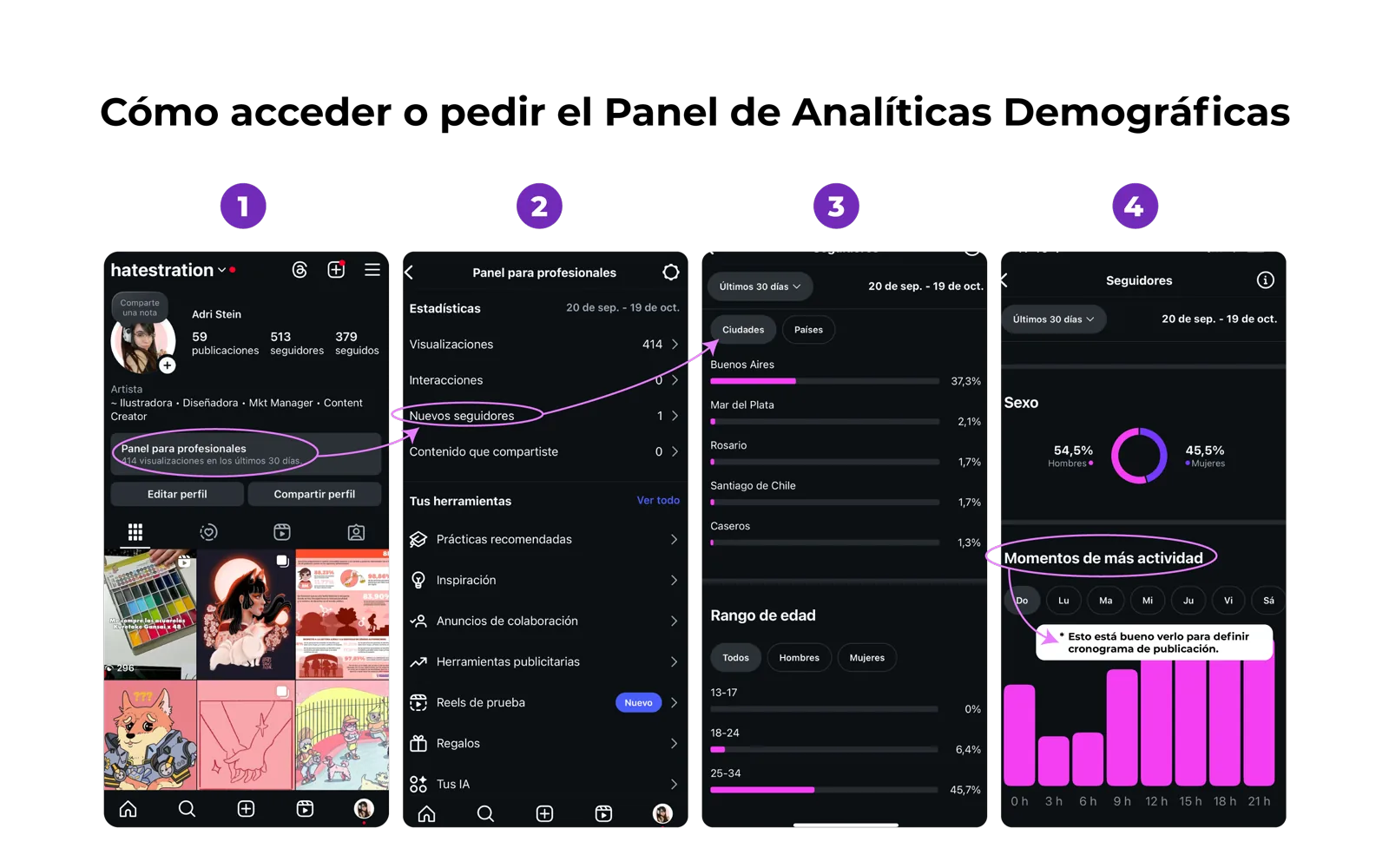 tutorial de como acceder o pedir el papel de analiticas demograficas